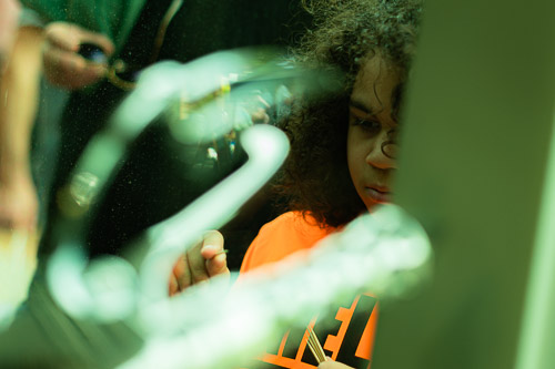 Troy Farmers Market  |  NY - May 2026